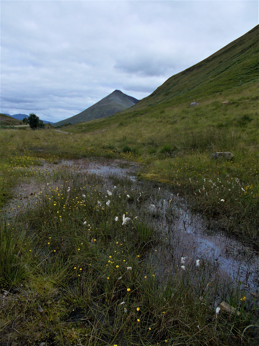 Klicke auf die Grafik für eine vergrößerte Ansicht  Name: 2022-07-28 West Highland Way 089.jpg Ansichten: 0 Größe: 4,20 MB ID: 3196591