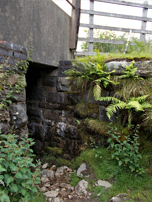 Klicke auf die Grafik für eine vergrößerte Ansicht  Name: 2022-07-28 West Highland Way 099.jpg Ansichten: 0 Größe: 4,74 MB ID: 3196592