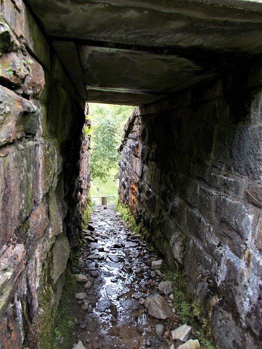 Klicke auf die Grafik für eine vergrößerte Ansicht  Name: 2022-07-28 West Highland Way 100.jpg Ansichten: 0 Größe: 4,02 MB ID: 3196593