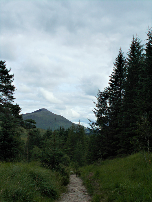 Klicke auf die Grafik für eine vergrößerte Ansicht  Name: 2022-07-28 West Highland Way 153.jpg Ansichten: 0 Größe: 3,60 MB ID: 3196605