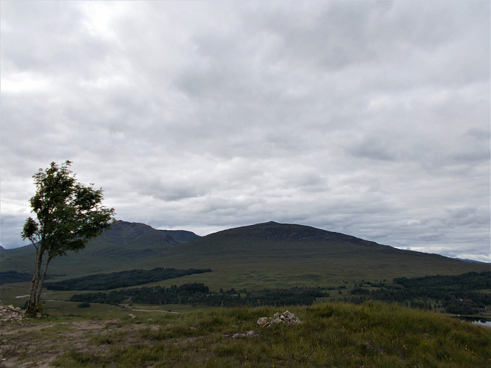 Klicke auf die Grafik für eine vergrößerte Ansicht  Name: 2022-07-28 West Highland Way 177.jpg Ansichten: 0 Größe: 3,36 MB ID: 3196610