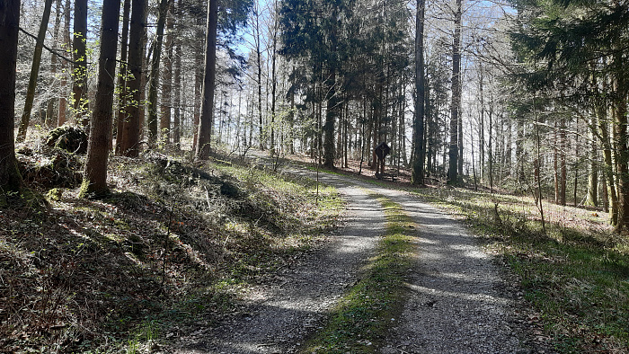 Klicke auf die Grafik für eine vergrößerte Ansicht

Name: Bild03_04.jpg
Ansichten: 287
Größe: 5,68 MB
ID: 3201014
