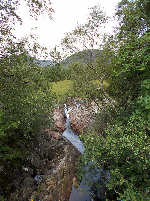 Klicke auf die Grafik für eine vergrößerte Ansicht

Name: 2022-07-29 West Highland Way 055.jpg
Ansichten: 673
Größe: 5,57 MB
ID: 3196887