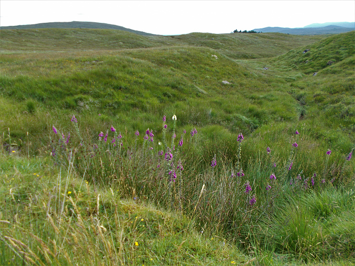 Klicke auf die Grafik für eine vergrößerte Ansicht

Name: 2022-07-29 West Highland Way 062.jpg
Ansichten: 677
Größe: 4,83 MB
ID: 3196889