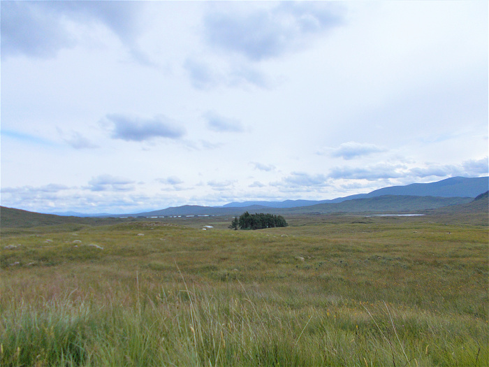 Klicke auf die Grafik für eine vergrößerte Ansicht

Name: 2022-07-29 West Highland Way 065.jpg
Ansichten: 667
Größe: 3,19 MB
ID: 3196890