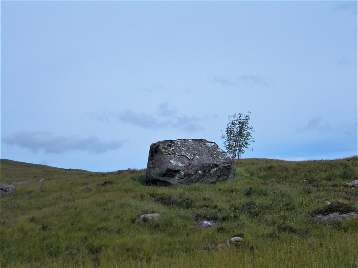 Klicke auf die Grafik für eine vergrößerte Ansicht

Name: 2022-07-29 West Highland Way 074.jpg
Ansichten: 667
Größe: 3,44 MB
ID: 3196894