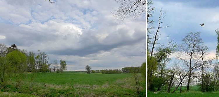 Klicke auf die Grafik für eine vergrößerte Ansicht  Name: Weser_615.jpg Ansichten: 0 Größe: 105,0 KB ID: 3197202