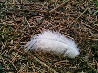 Klicke auf die Grafik für eine vergrößerte Ansicht

Name: IMG_20230430_165539_DRO.jpg
Ansichten: 387
Größe: 1,04 MB
ID: 3197305