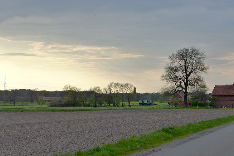 Klicke auf die Grafik für eine vergrößerte Ansicht

Name: Weser_627.jpg
Ansichten: 355
Größe: 104,5 KB
ID: 3197417