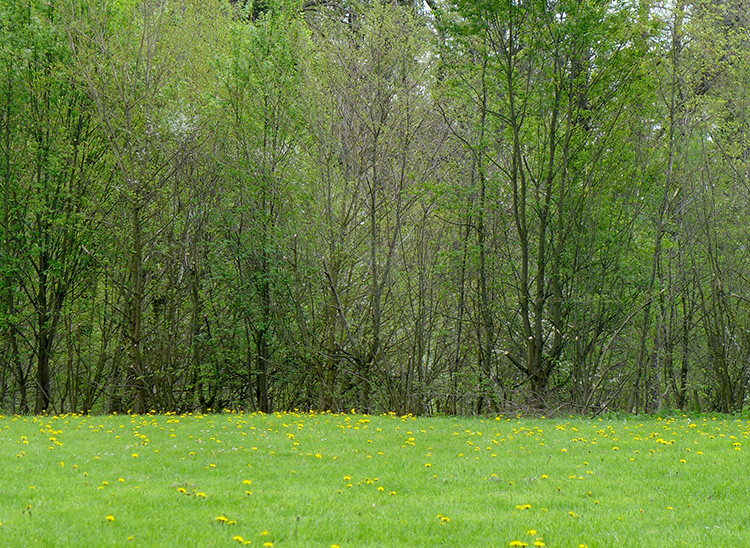 Klicke auf die Grafik für eine vergrößerte Ansicht

Name: Forumscamp_08.jpg
Ansichten: 221
Größe: 318,4 KB
ID: 3198308