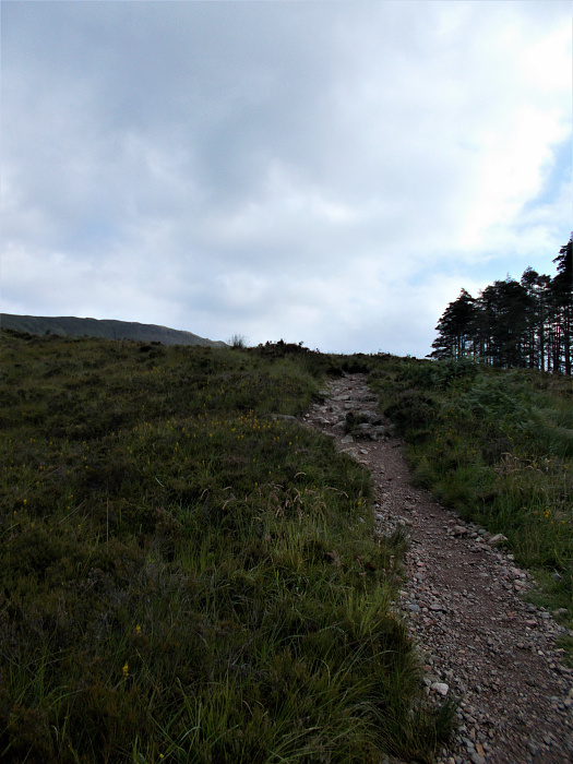 Klicke auf die Grafik für eine vergrößerte Ansicht  Name: 2022-07-30 West Highland Way 047.jpg Ansichten: 0 Größe: 3,48 MB ID: 3198953