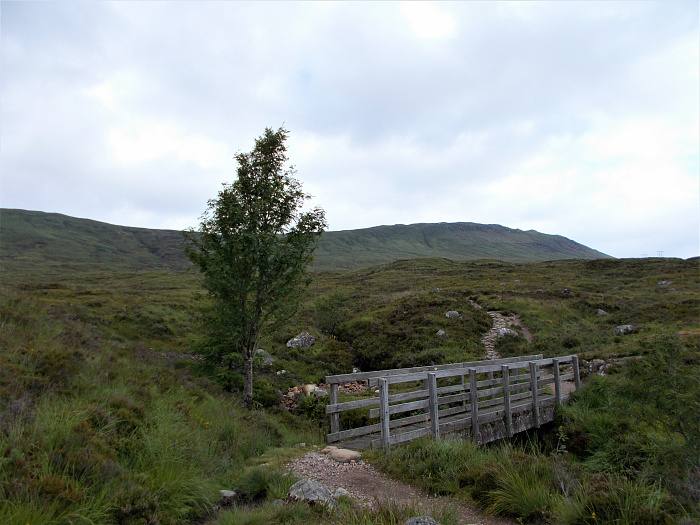 Klicke auf die Grafik für eine vergrößerte Ansicht  Name: 2022-07-30 West Highland Way 048.jpg Ansichten: 0 Größe: 3,50 MB ID: 3198954