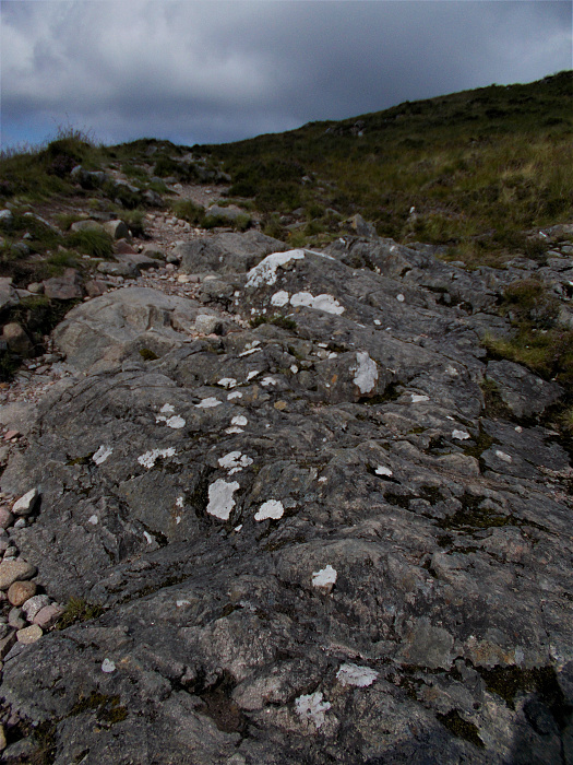 Klicke auf die Grafik für eine vergrößerte Ansicht  Name: 2022-07-30 West Highland Way 060.jpg Ansichten: 0 Größe: 4,25 MB ID: 3198957