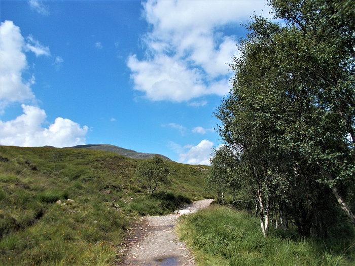 Klicke auf die Grafik für eine vergrößerte Ansicht

Name: 2022-07-30 West Highland Way 107.jpg
Ansichten: 537
Größe: 4,48 MB
ID: 3198973