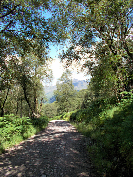 Klicke auf die Grafik für eine vergrößerte Ansicht

Name: 2022-07-30 West Highland Way 112.jpg
Ansichten: 550
Größe: 6,16 MB
ID: 3198976