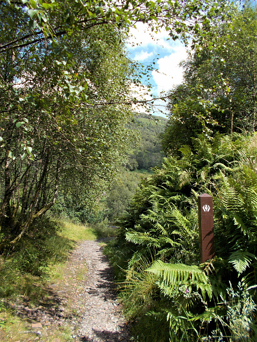 Klicke auf die Grafik für eine vergrößerte Ansicht

Name: 2022-07-30 West Highland Way 120.jpg
Ansichten: 548
Größe: 6,86 MB
ID: 3198978