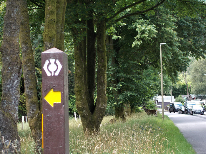 Klicke auf die Grafik für eine vergrößerte Ansicht

Name: 2022-07-30 West Highland Way 124.jpg
Ansichten: 534
Größe: 4,55 MB
ID: 3198981