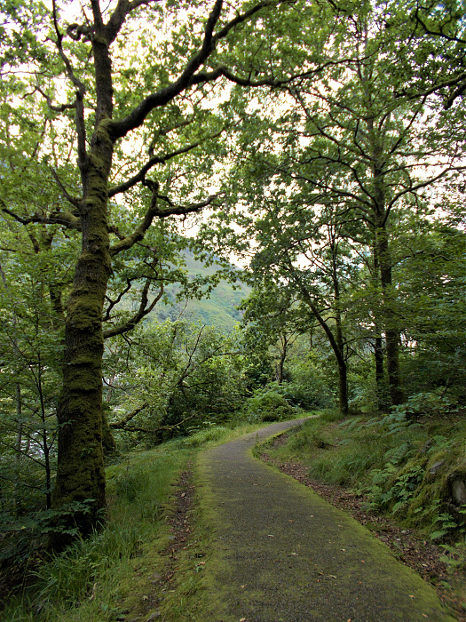 Klicke auf die Grafik für eine vergrößerte Ansicht

Name: 2022-07-30 West Highland Way 129.jpg
Ansichten: 548
Größe: 5,75 MB
ID: 3198983