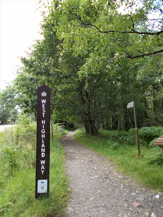 Klicke auf die Grafik für eine vergrößerte Ansicht

Name: 2022-07-30 West Highland Way 132.jpg
Ansichten: 542
Größe: 5,01 MB
ID: 3198988