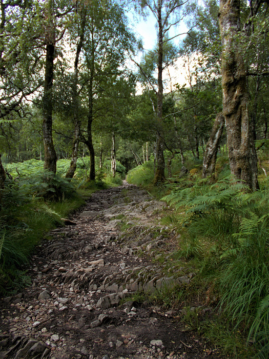 Klicke auf die Grafik für eine vergrößerte Ansicht

Name: 2022-07-30 West Highland Way 136.jpg
Ansichten: 545
Größe: 5,42 MB
ID: 3198990