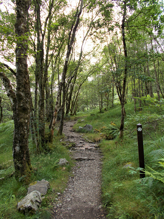 Klicke auf die Grafik für eine vergrößerte Ansicht

Name: 2022-07-30 West Highland Way 137.jpg
Ansichten: 540
Größe: 6,11 MB
ID: 3198991