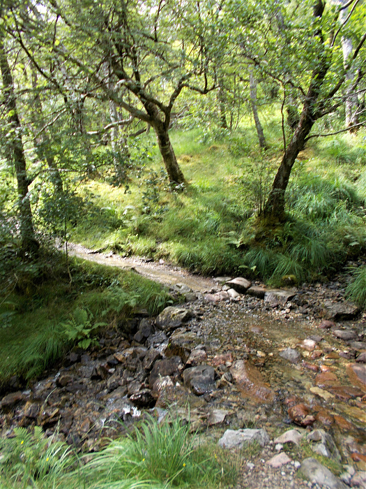 Klicke auf die Grafik für eine vergrößerte Ansicht

Name: 2022-07-30 West Highland Way 139.jpg
Ansichten: 543
Größe: 5,27 MB
ID: 3198992