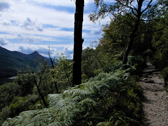 Klicke auf die Grafik für eine vergrößerte Ansicht

Name: 2022-07-30 West Highland Way 140.jpg
Ansichten: 536
Größe: 4,66 MB
ID: 3198993