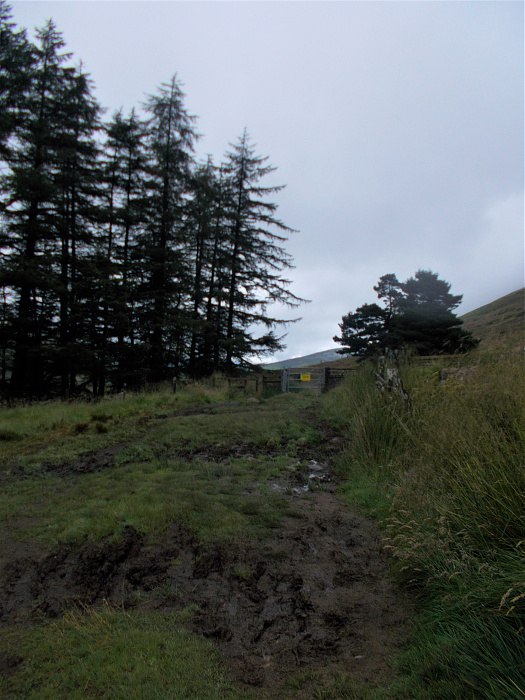 Klicke auf die Grafik für eine vergrößerte Ansicht  Name: 2022-07-31 West Highland Way 050.jpg Ansichten: 0 Größe: 3,69 MB ID: 3199234