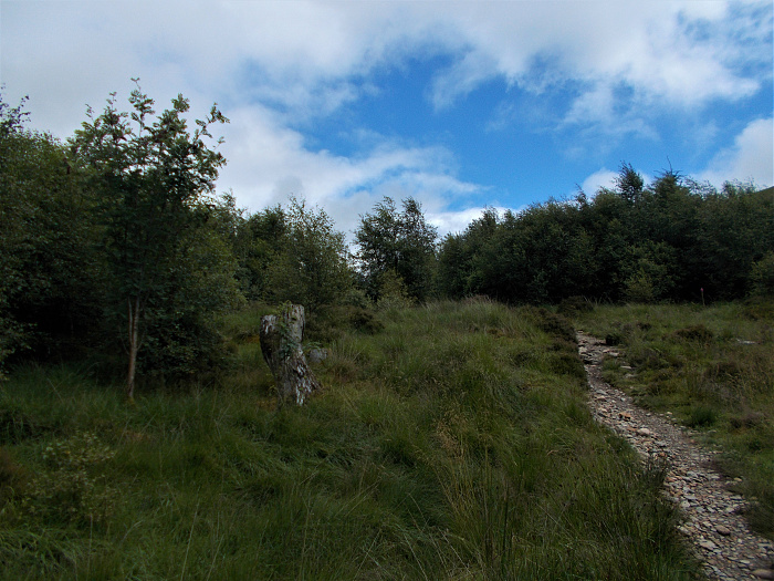 Klicke auf die Grafik für eine vergrößerte Ansicht  Name: 2022-07-31 West Highland Way 076.jpg Ansichten: 0 Größe: 3,99 MB ID: 3199242