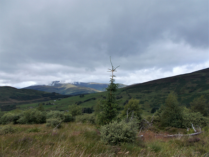 Klicke auf die Grafik für eine vergrößerte Ansicht  Name: 2022-07-31 West Highland Way 082.jpg Ansichten: 0 Größe: 3,49 MB ID: 3199243