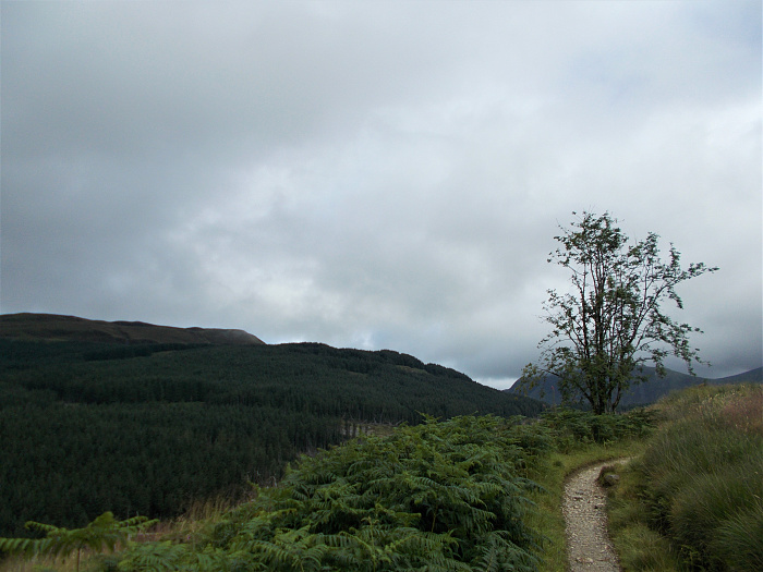 Klicke auf die Grafik für eine vergrößerte Ansicht  Name: 2022-07-31 West Highland Way 087.jpg Ansichten: 0 Größe: 3,34 MB ID: 3199247