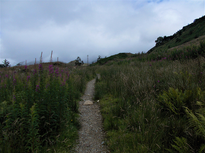Klicke auf die Grafik für eine vergrößerte Ansicht  Name: 2022-07-31 West Highland Way 091.jpg Ansichten: 0 Größe: 3,79 MB ID: 3199249