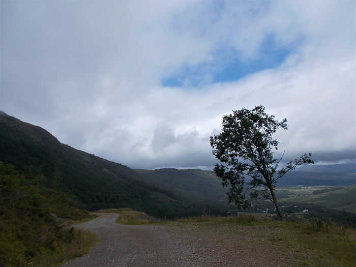 Klicke auf die Grafik für eine vergrößerte Ansicht  Name: 2022-07-31 West Highland Way 107.jpg Ansichten: 0 Größe: 3,36 MB ID: 3199255