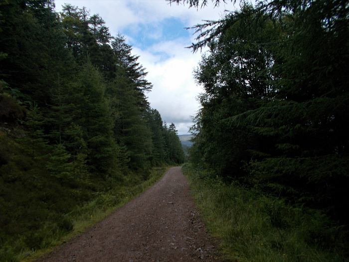 Klicke auf die Grafik für eine vergrößerte Ansicht  Name: 2022-07-31 West Highland Way 110.jpg Ansichten: 0 Größe: 3,39 MB ID: 3199256