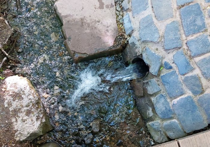 Klicke auf die Grafik für eine vergrößerte Ansicht

Name: 20230517_161708a.jpg
Ansichten: 187
Größe: 175,1 KB
ID: 3199852