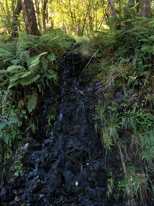 Klicke auf die Grafik für eine vergrößerte Ansicht

Name: 2022-08-01 West Highland Way 028.jpg
Ansichten: 367
Größe: 5,46 MB
ID: 3199930