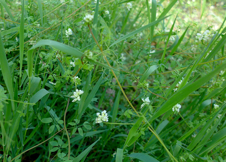 Klicke auf die Grafik für eine vergrößerte Ansicht  Name: Weser_631.jpg Ansichten: 0 Größe: 203,9 KB ID: 3200163