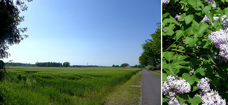 Klicke auf die Grafik für eine vergrößerte Ansicht  Name: Weser_633.jpg Ansichten: 0 Größe: 124,5 KB ID: 3200165