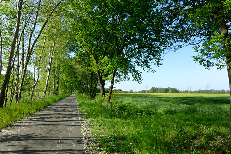 Klicke auf die Grafik für eine vergrößerte Ansicht  Name: Weser_645.jpg Ansichten: 0 Größe: 300,6 KB ID: 3200177
