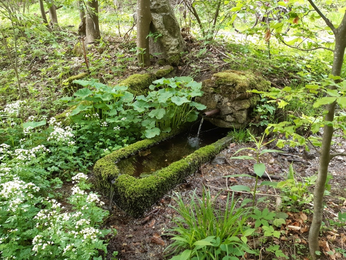 Klicke auf die Grafik für eine vergrößerte Ansicht

Name: 0JNgCuTs--.1.jpg
Ansichten: 156
Größe: 250,6 KB
ID: 3200358