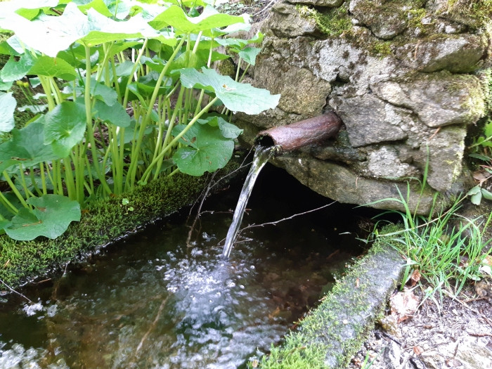 Klicke auf die Grafik für eine vergrößerte Ansicht

Name: 0JNgCuRt--.1.jpg
Ansichten: 158
Größe: 197,2 KB
ID: 3200359