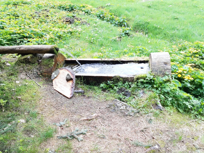 Klicke auf die Grafik für eine vergrößerte Ansicht

Name: 0JNgeQY2--.1.jpg
Ansichten: 160
Größe: 241,3 KB
ID: 3200362