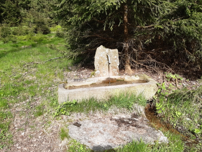 Klicke auf die Grafik für eine vergrößerte Ansicht

Name: 0JNgPGzH--.1.jpg
Ansichten: 158
Größe: 227,9 KB
ID: 3200365