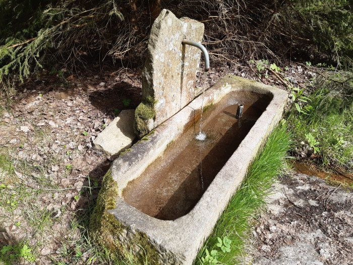 Klicke auf die Grafik für eine vergrößerte Ansicht

Name: 0JNgPGvU--.1.jpg
Ansichten: 166
Größe: 221,7 KB
ID: 3200366