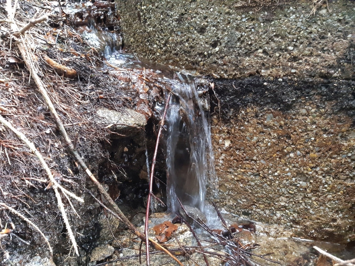 Klicke auf die Grafik für eine vergrößerte Ansicht

Name: 0JNLN3o_--.1.jpg
Ansichten: 145
Größe: 243,5 KB
ID: 3200369