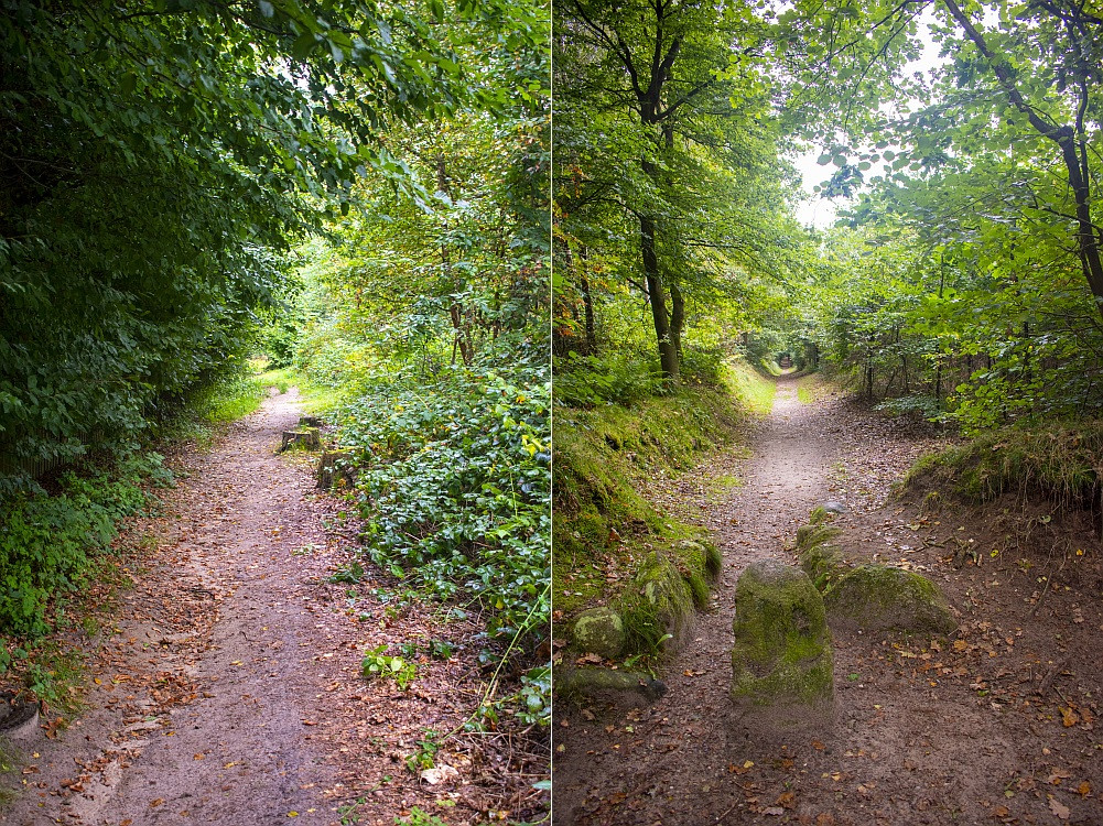 Klicke auf die Grafik für eine vergrößerte Ansicht  Name: 02 Wanderwege auf dem Weg zum Selker Noor.jpg Ansichten: 0 Größe: 550,0 KB ID: 3200492