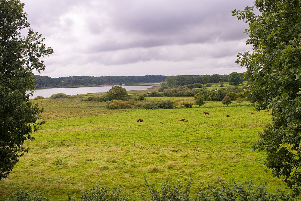 Klicke auf die Grafik für eine vergrößerte Ansicht  Name: 10 Im Naturpark Schlei am Haadebyer Noor.jpg Ansichten: 0 Größe: 305,1 KB ID: 3200498