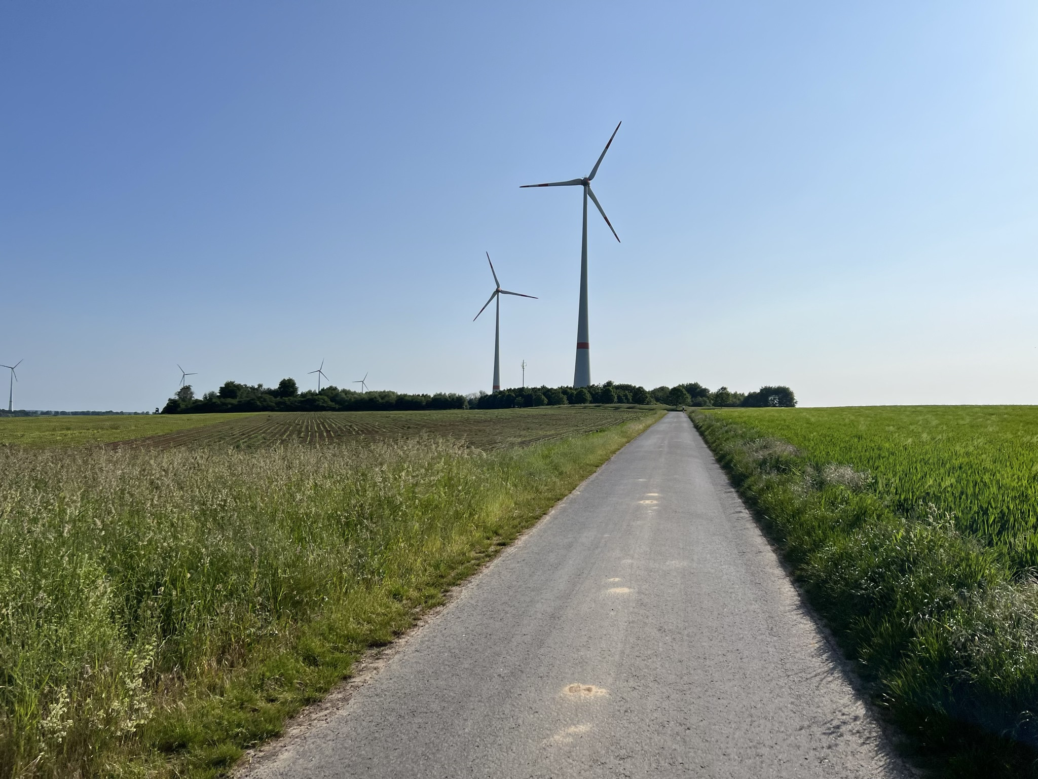 Klicke auf die Grafik für eine vergrößerte Ansicht  Name: odsfoto-5.jpg Ansichten: 79 Größe: 721,0 KB ID: 3201625