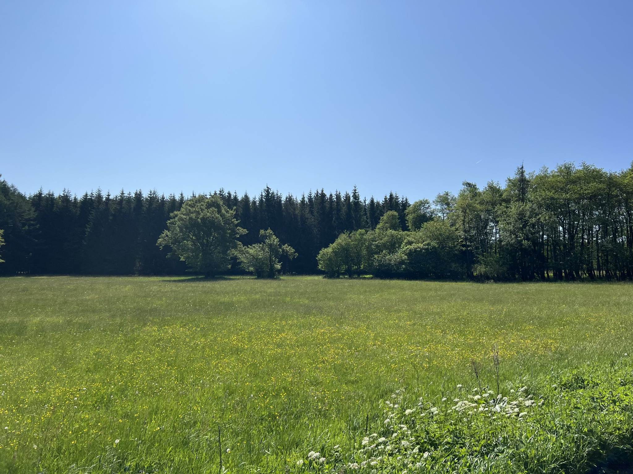 Klicke auf die Grafik für eine vergrößerte Ansicht  Name: odsfoto-5.jpg Ansichten: 56 Größe: 951,4 KB ID: 3201758