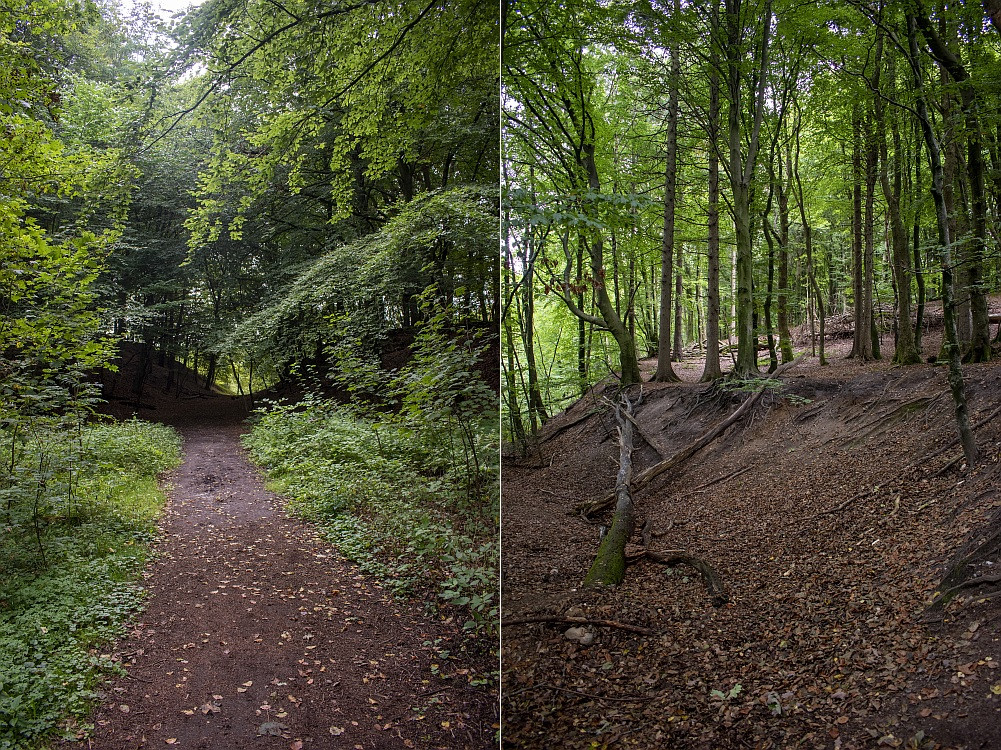 Klicke auf die Grafik für eine vergrößerte Ansicht  Name: 14 Im Naturschutzgebiet Fröruper Berge.jpg Ansichten: 0 Größe: 531,0 KB ID: 3202416